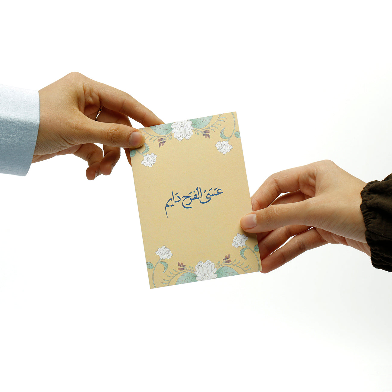Razgi & Mashmoum Pack