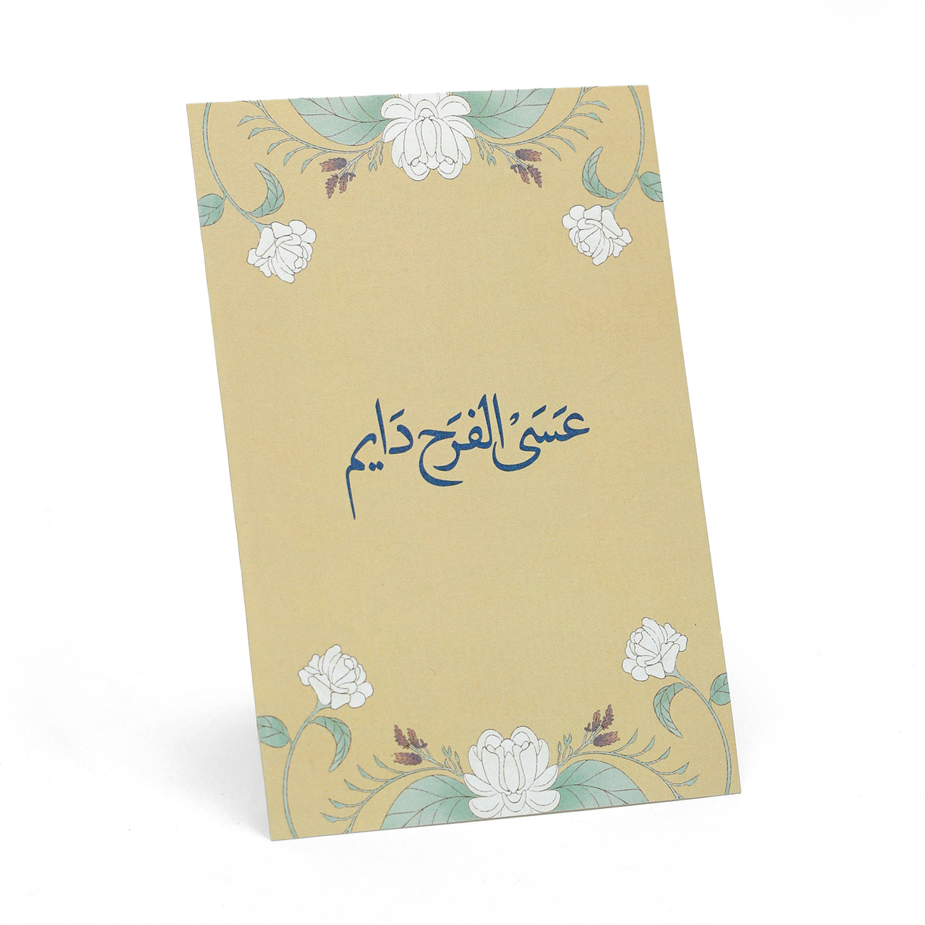 Razgi & Mashmoum Pack