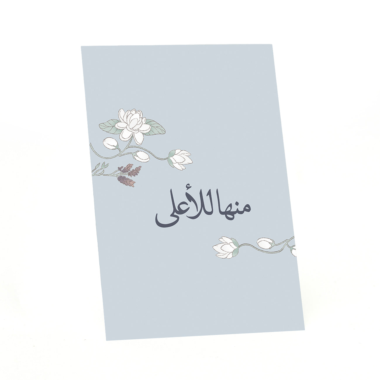 Razgi & Mashmoum Pack