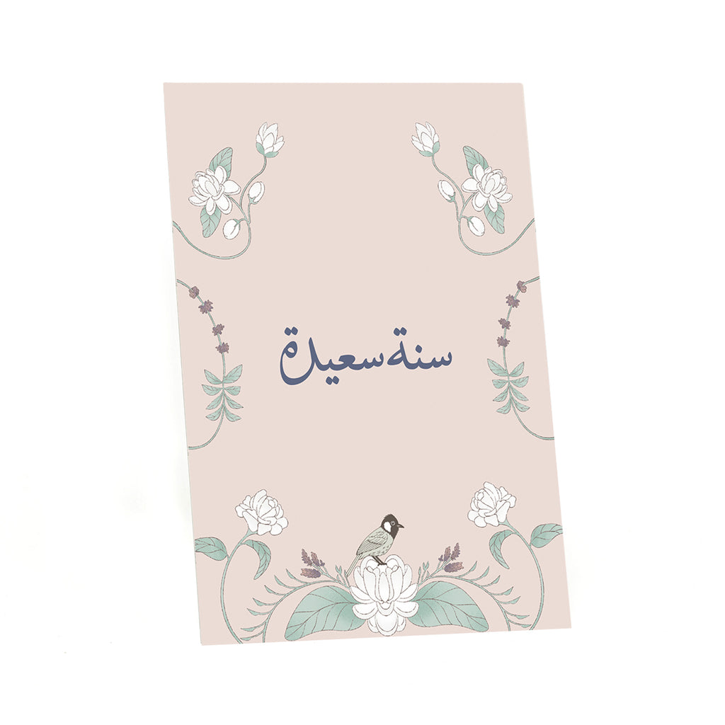 Razgi & Mashmoum Pack