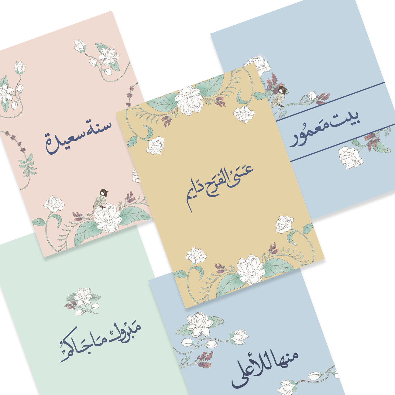 Razgi & Mashmoum Pack