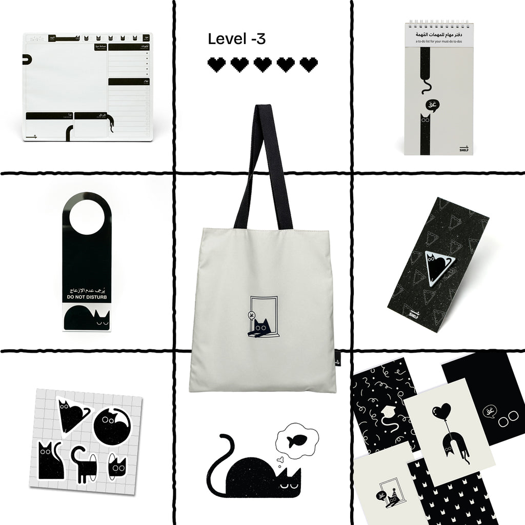Sanoor Bundle - level 3