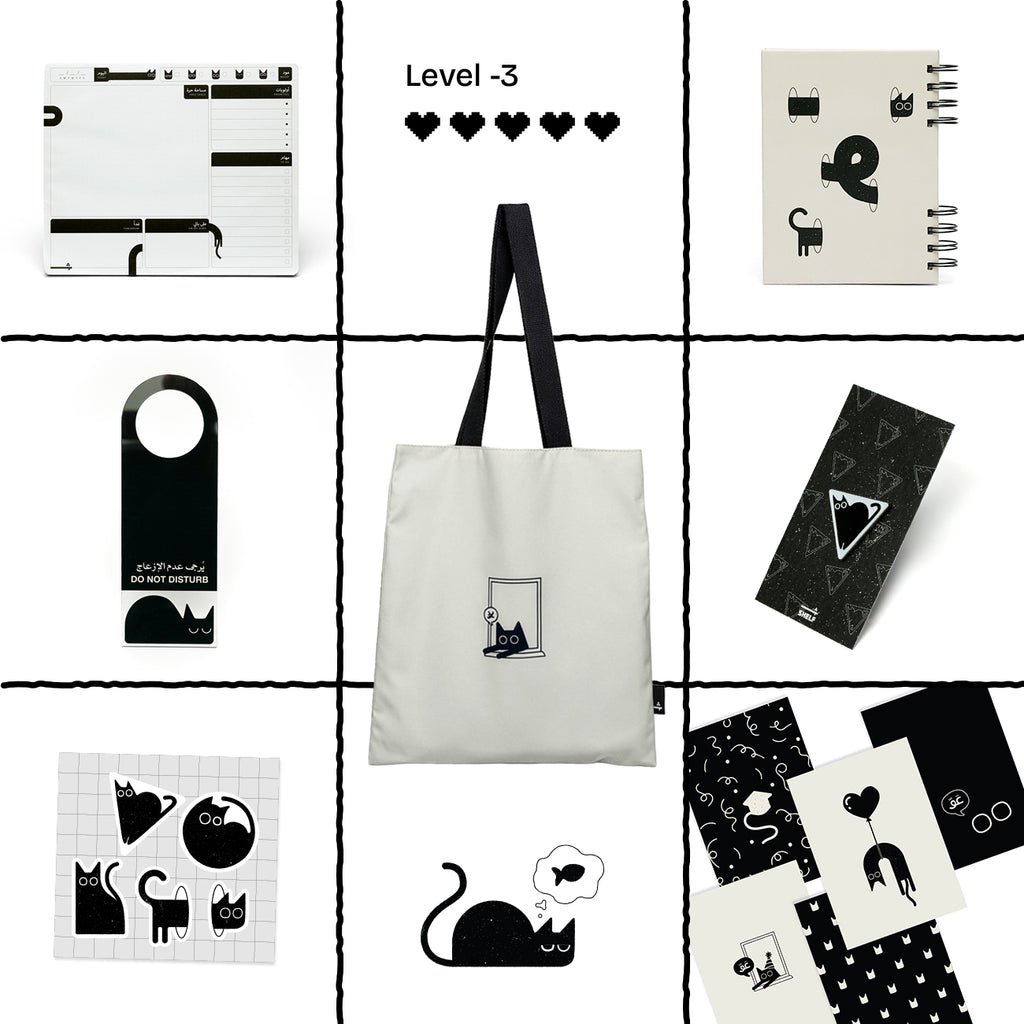 Sanoor Bundle - level 3